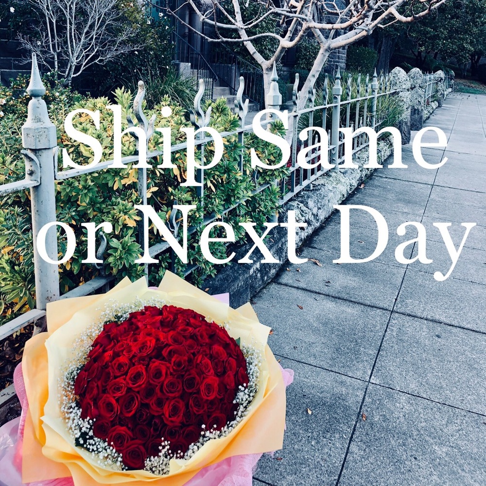 I Ship Same or Next Day on all orders!📦✨